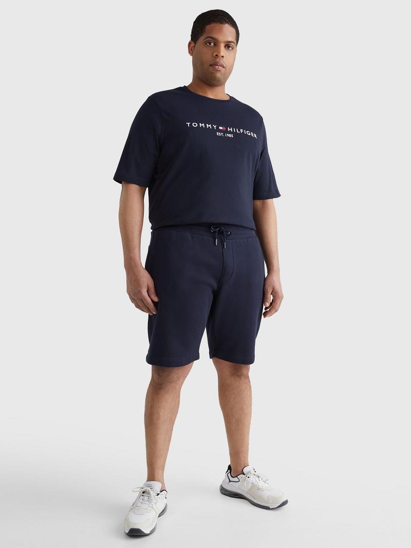 Bermudas Tommy Hilfiger Big and tall logo sweatshort Azul Marino | MX_M31192