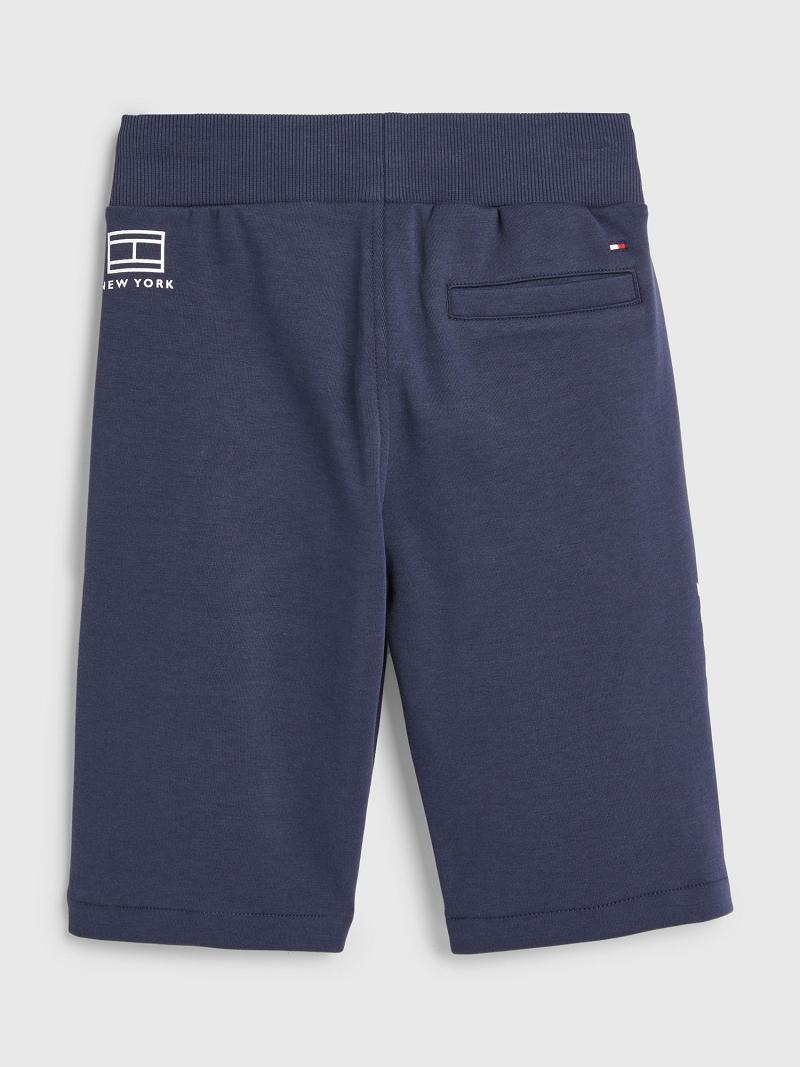 Bermudas Tommy Hilfiger Multi Logo Sweatshort Azul Marino | MX_B2101