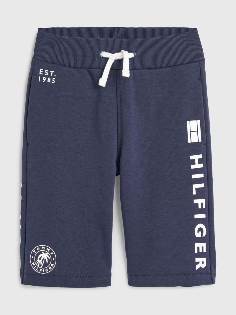 Bermudas Tommy Hilfiger Multi Logo Sweatshort Azul Marino | MX_B2101