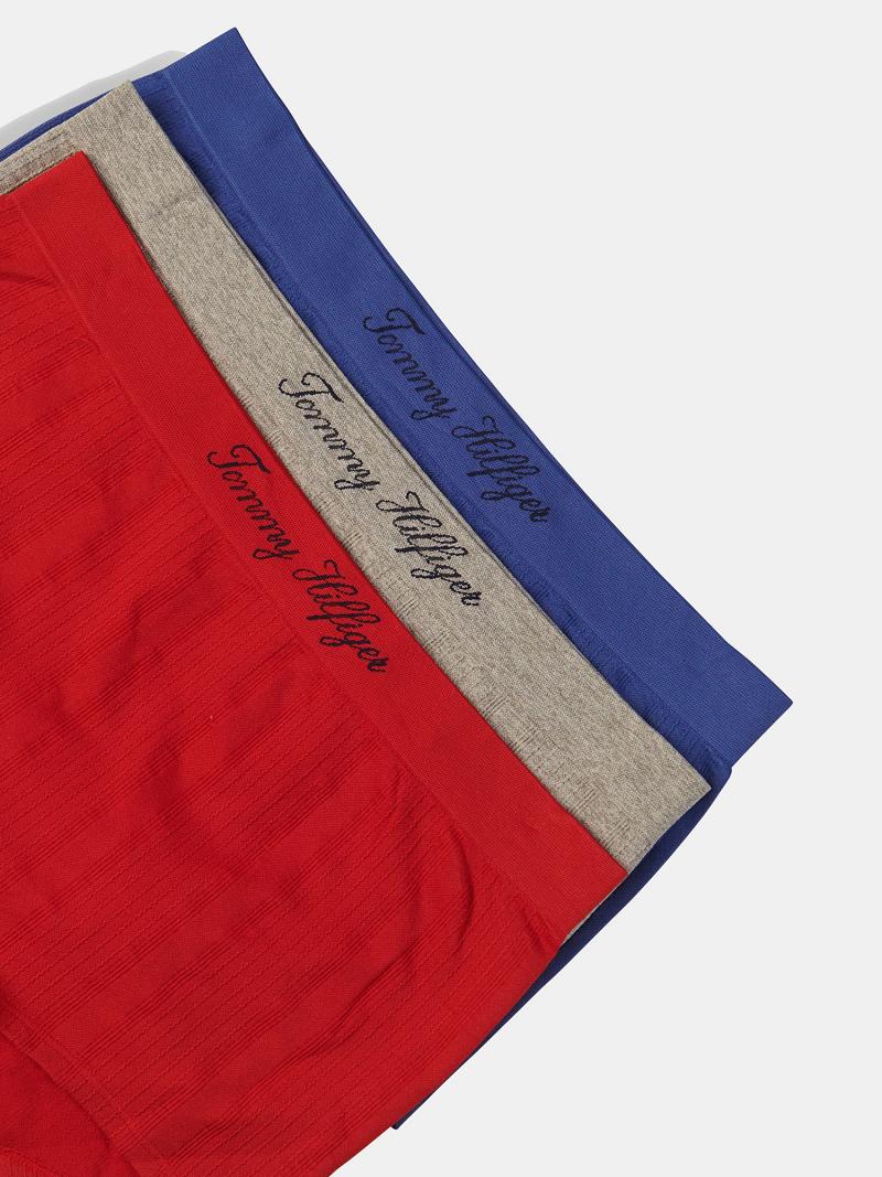 Bikinis Tommy Hilfiger Signature Logo Brief 3PK Rojos | MX_W21548