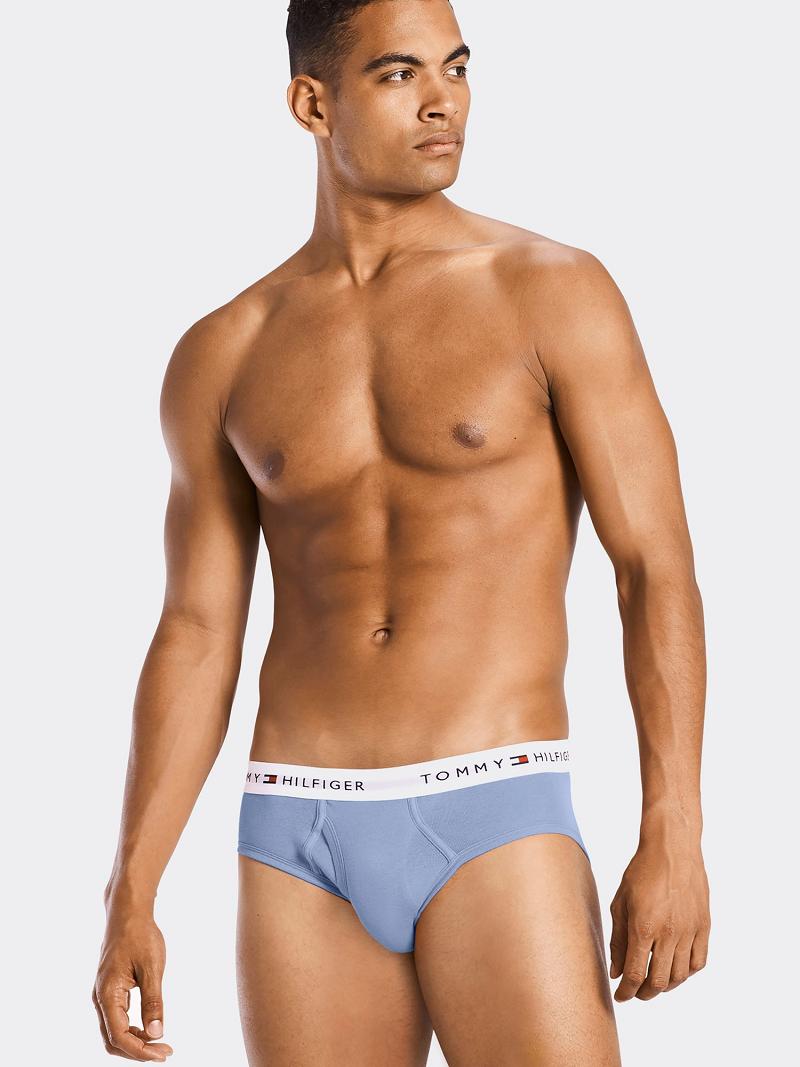 Briefs Tommy Hilfiger Algodon classics brief 4pk Azul Marino | MX_M31539