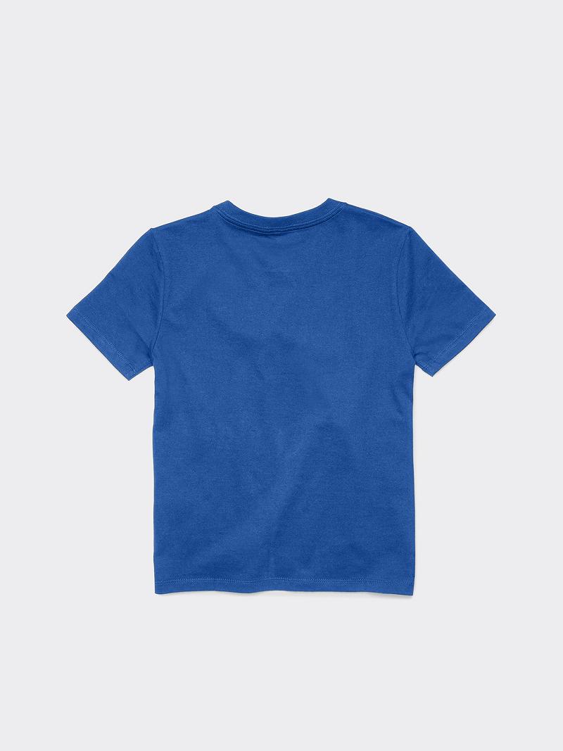 Camiseta Tommy Hilfiger Big Classic Azules | MX_B2157