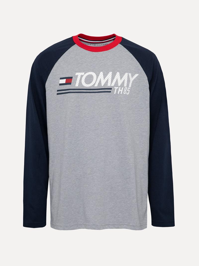 Camiseta Tommy Hilfiger Big Logo Raglan Grises | MX_B2160