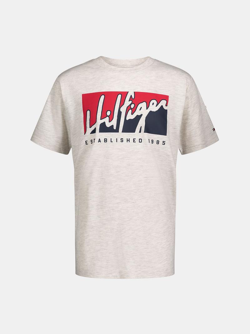 Camiseta Tommy Hilfiger Big Logo Script Blancos | MX_B2161