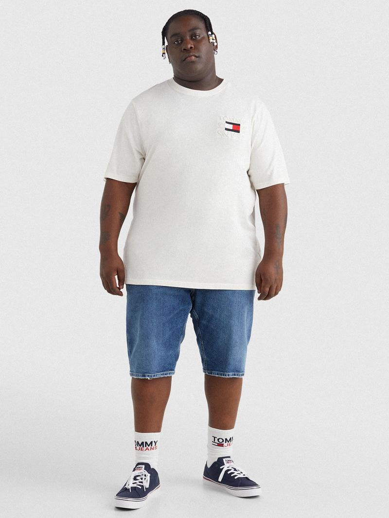 Camiseta Tommy Hilfiger Big and tall box logo Blancos | MX_M31001