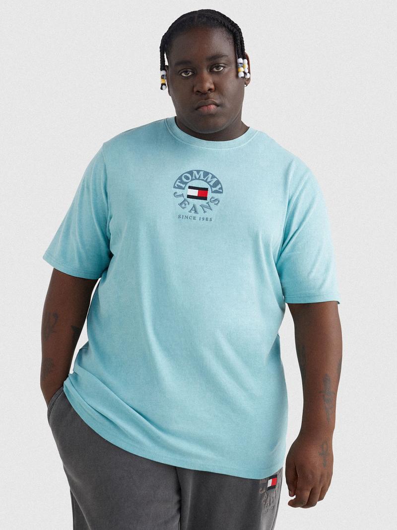 Camiseta Tommy Hilfiger Big and tall circle logo Azules | MX_M31003