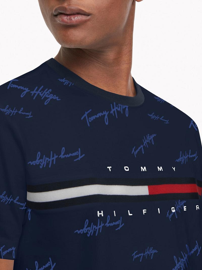 Camiseta Tommy Hilfiger Essential script logo Azul Marino | MX_M31031