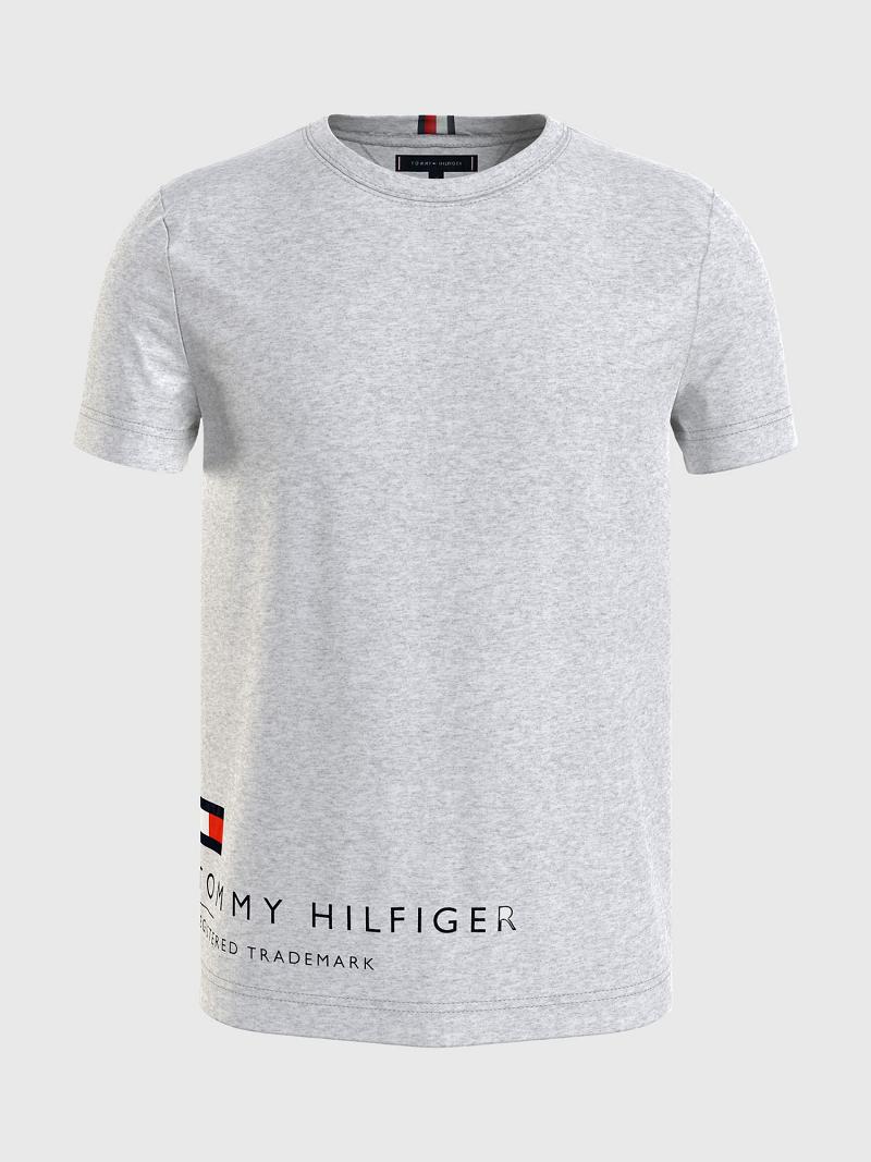 Camiseta Tommy Hilfiger Hem logo Grises | MX_M31040