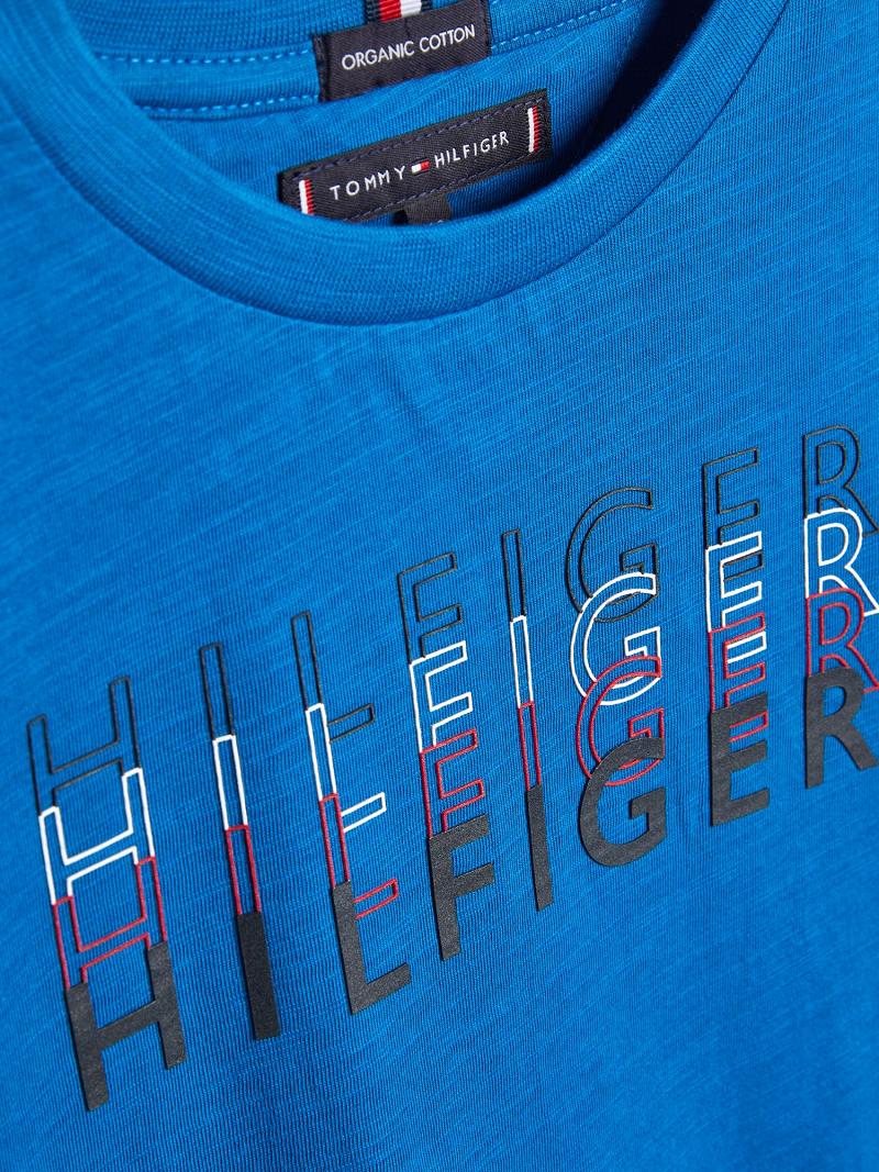 Camiseta Tommy Hilfiger Logo Azules | MX_B2193