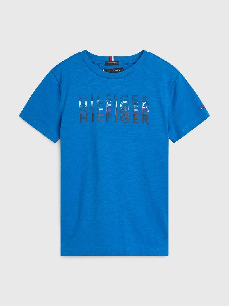 Camiseta Tommy Hilfiger Logo Azules | MX_B2193