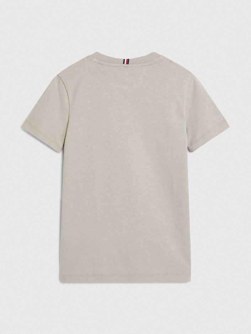 Camiseta Tommy Hilfiger Natural Dye Grises | MX_B2198