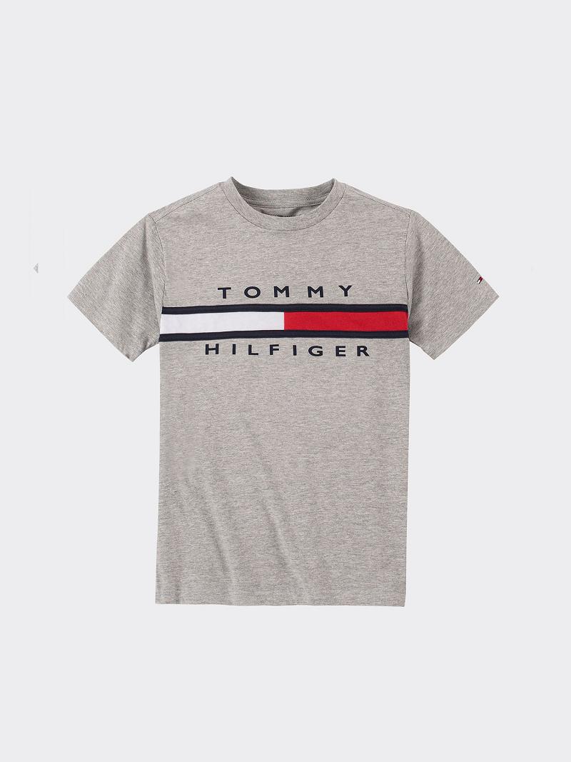 Camiseta Tommy Hilfiger Signature Stripe Grises | MX_B2203