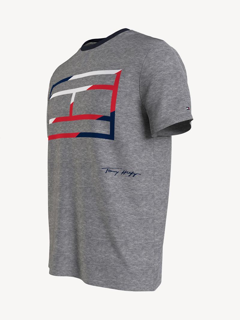 Camiseta Tommy Hilfiger Skeleton flag Grises | MX_M31068