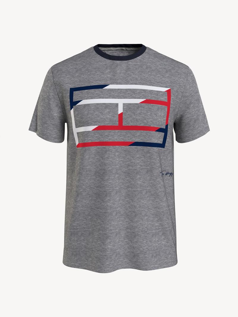 Camiseta Tommy Hilfiger Skeleton flag Grises | MX_M31068