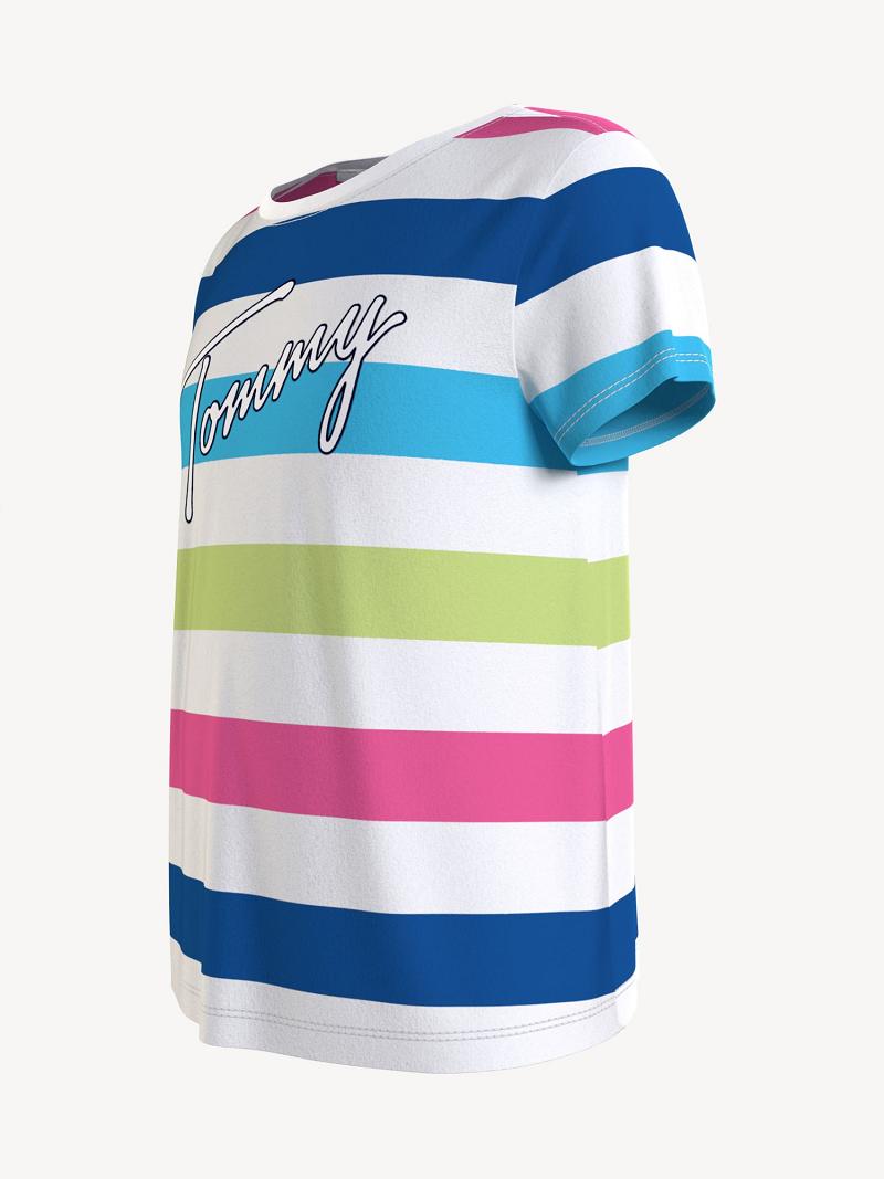 Camiseta Tommy Hilfiger Stripe Tommy Multicolor | MX_G1266