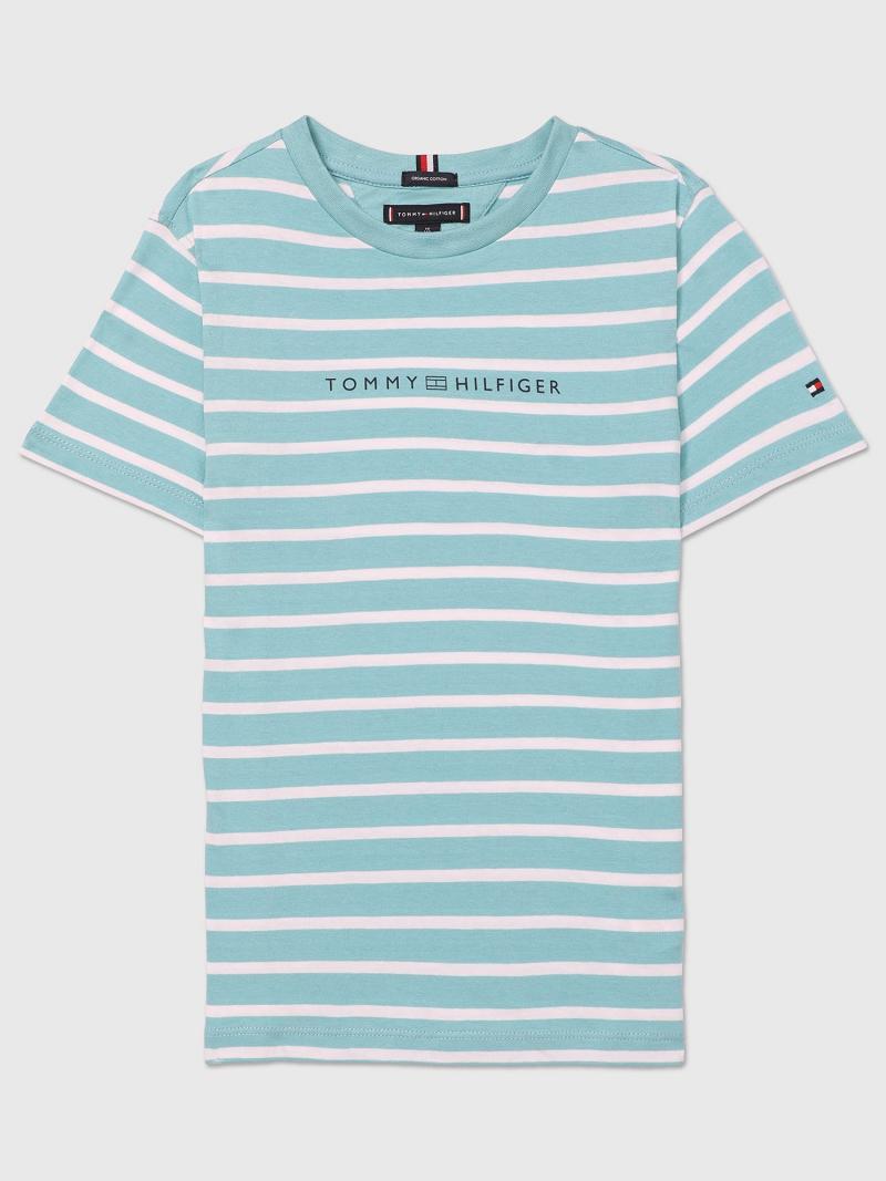 Camiseta Tommy Hilfiger Stripe Verde Menta | MX_B2210