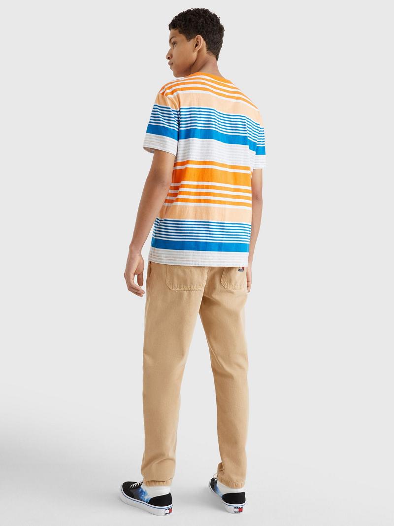 Camiseta Tommy Hilfiger Summer stripe Multicolor | MX_M31073