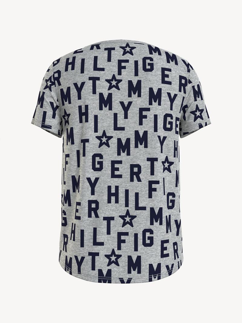 Camiseta Tommy Hilfiger Tommy Grises | MX_G1269