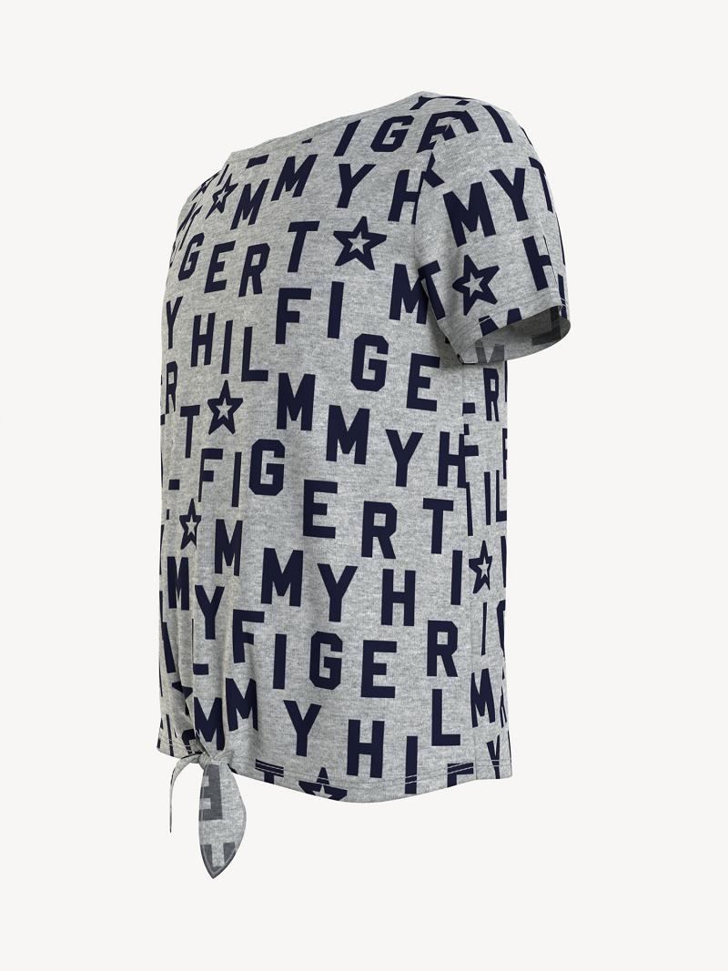 Camiseta Tommy Hilfiger Tommy Grises | MX_G1269