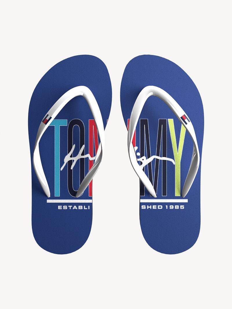 Chanclas Tommy Hilfiger Logo Azul Marino | MX_B2229