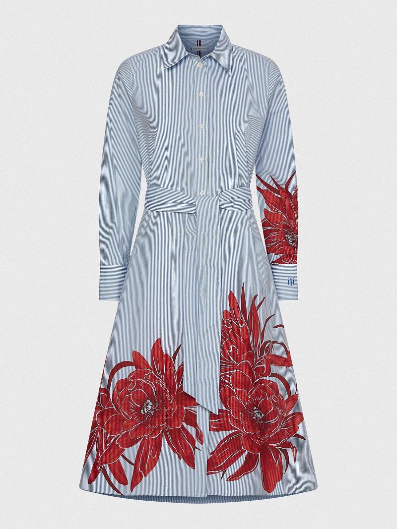 Dresses Tommy Hilfiger Floral Stripe Midi Shirtdress Azules | MX_W21091