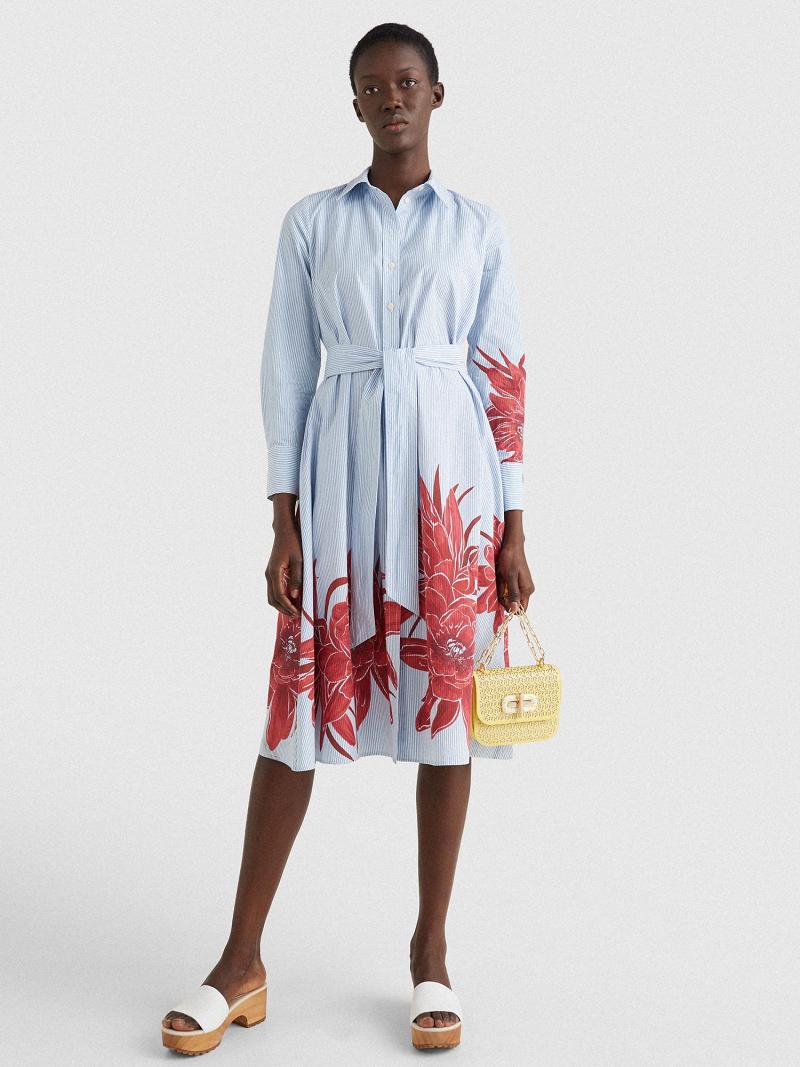 Dresses Tommy Hilfiger Floral Stripe Midi Shirtdress Azules | MX_W21091