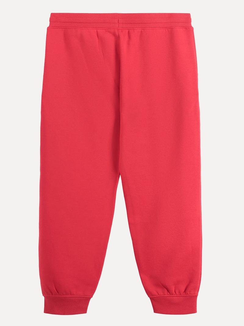 Pantalones Deportivos Tommy Hilfiger Big Logo Rojos | MX_G1178