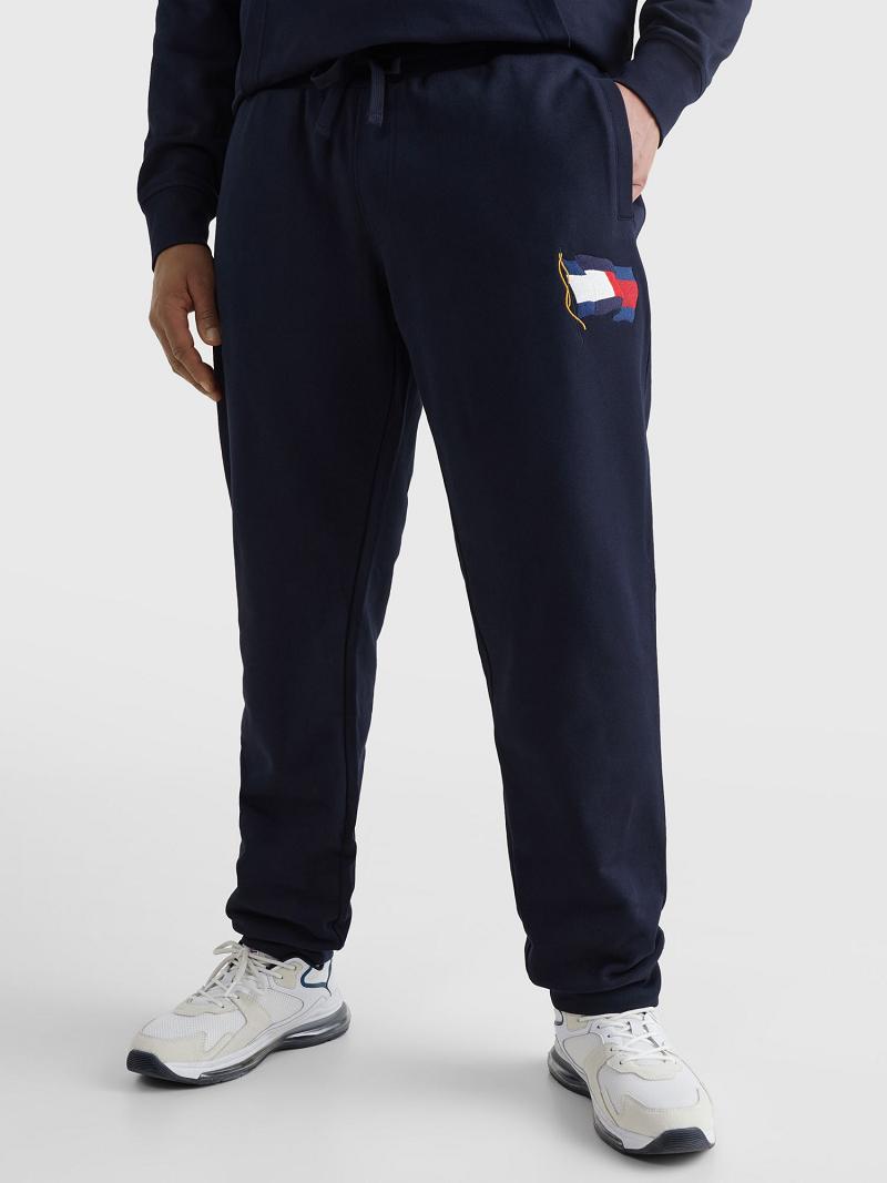 Pantalones Deportivos Tommy Hilfiger Big and tall wavy flag Azul Marino | MX_M31141