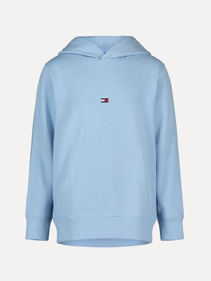 Sudadera Con Capucha Tommy Hilfiger Big Tonal Logo Azules | MX_B2019