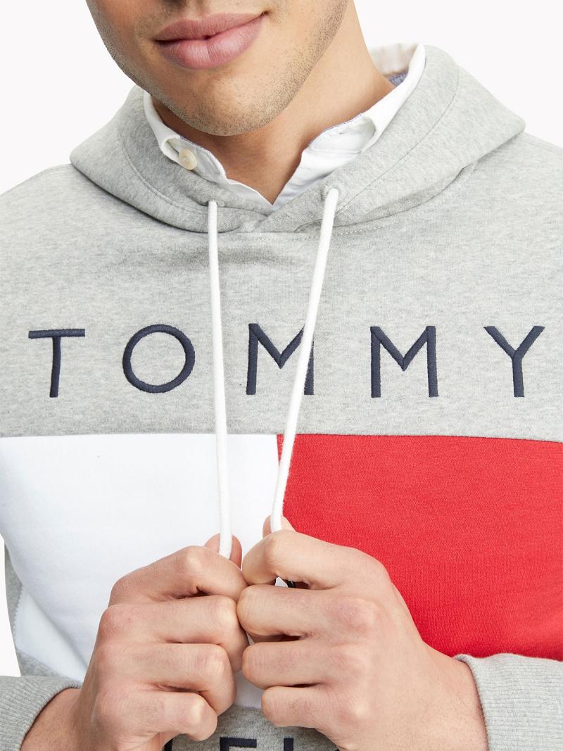 Sudadera Con Capucha Tommy Hilfiger Essential Logo Grises | MX_M31439