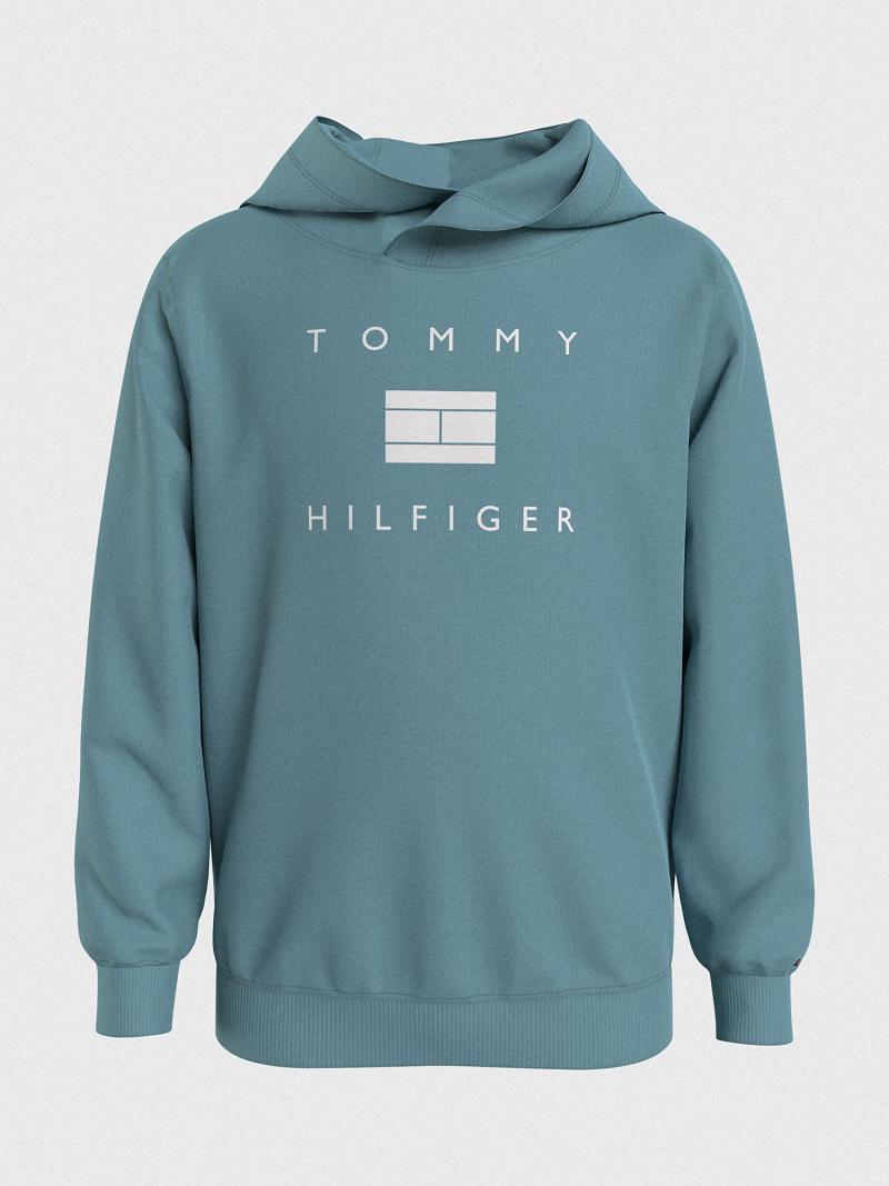 Sudadera Con Capucha Tommy Hilfiger Hilfiger Aqua | MX_B2022