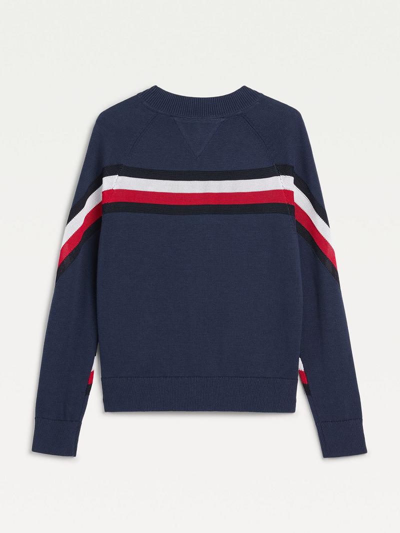 Sudaderas Tommy Hilfiger Organic Algodon Raglan Sueter Azul Marino | MX_G1209