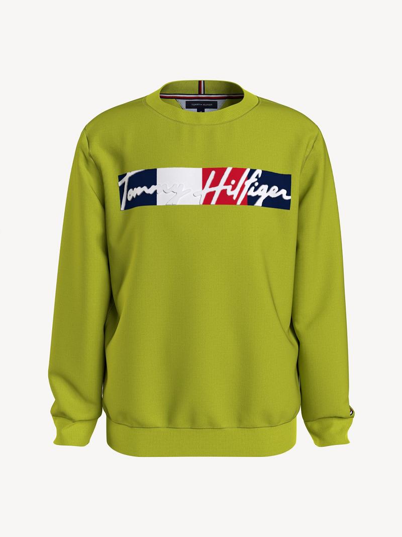 Sudaderas Tommy Hilfiger Signature Verdes | MX_G1211