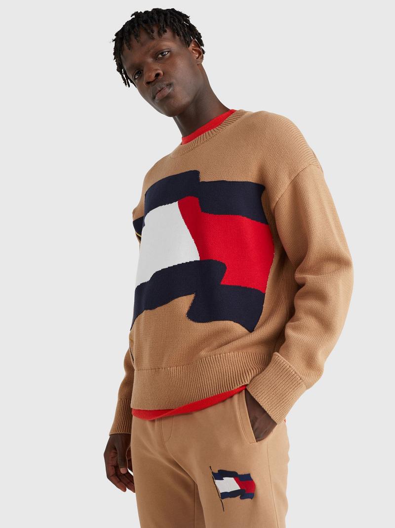 Suéteres Tommy Hilfiger Wavy flag crewneck Marrom | MX_M31178