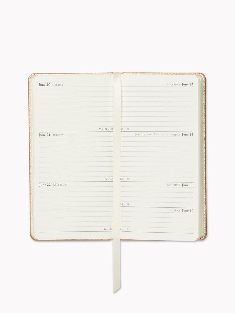 Technology Tommy Hilfiger Weekly Planner Dorados | MX_M31801