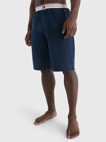 Bermudas Tommy Hilfiger Modern essentials Azul Marino | MX_M31216