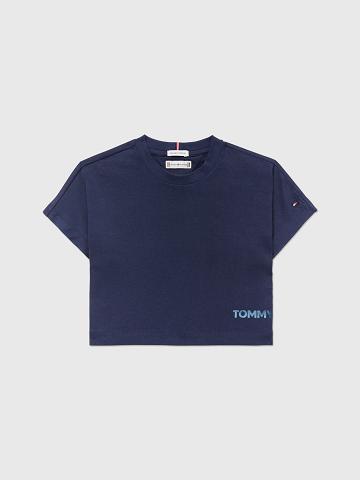 Camiseta Tommy Hilfiger Back Logo Shimmer Azul Marino | MX_G1226