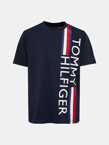 Camiseta Tommy Hilfiger Big Kids’ Stripe Azul Marino | MX_B2159