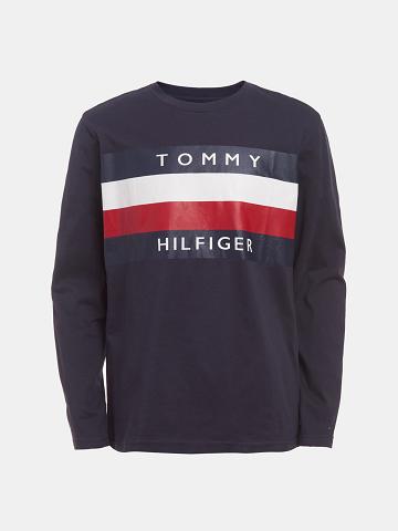 Camiseta Tommy Hilfiger Big Stripe Long-Sleeve Azul Marino | MX_B2164