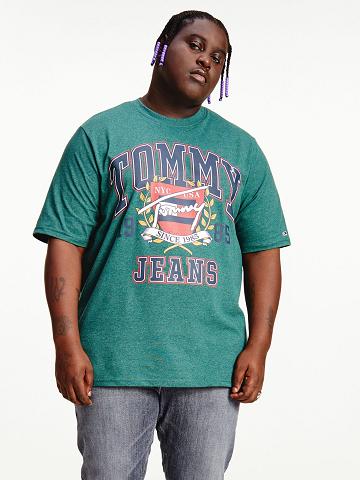 Camiseta Tommy Hilfiger Big and tall signature collegiate Verdes | MX_M31006