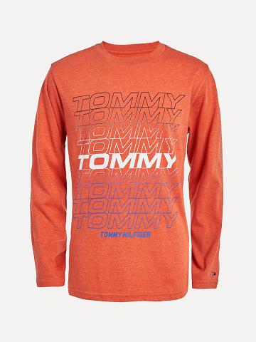 Camiseta Tommy Hilfiger Little Boys' Tommy Long-Sleeve Naranjas | MX_B2179