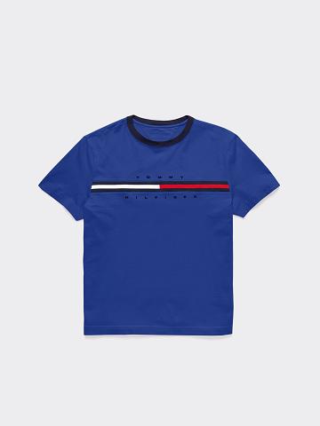 Camiseta Tommy Hilfiger Logo Stripe Azules | MX_B2196