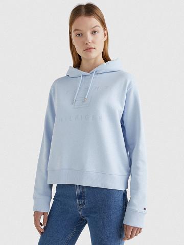 Sudadera Con Capucha Tommy Hilfiger Metallic Azules | MX_W21153