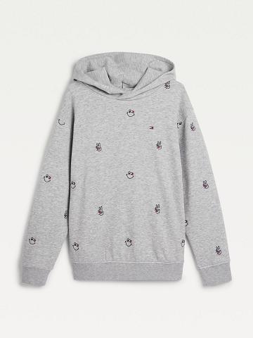 Sudadera Con Capucha Tommy Hilfiger Organic Algodon Smiles Grises | MX_B2033