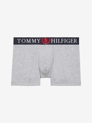 Trunks Tommy Hilfiger Authentic stretch trunk Grises | MX_M31489